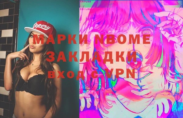 индика Лабытнанги