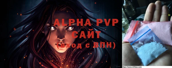 индика Лабытнанги