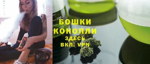 индика Лабытнанги
