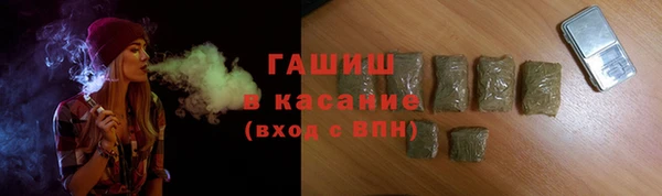 индика Лабытнанги