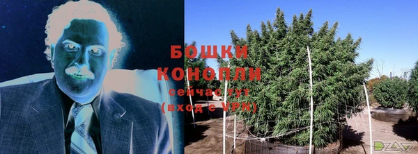индика Лабытнанги