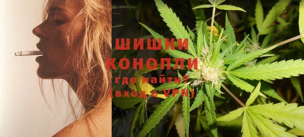 индика Лабытнанги