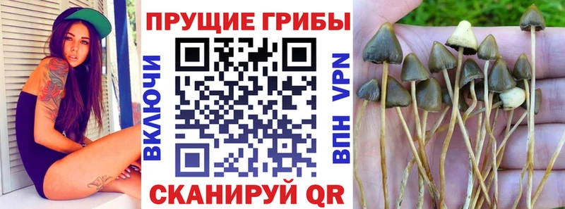 Псилоцибиновые грибы мухоморы купить kraken ссылки Сортавала